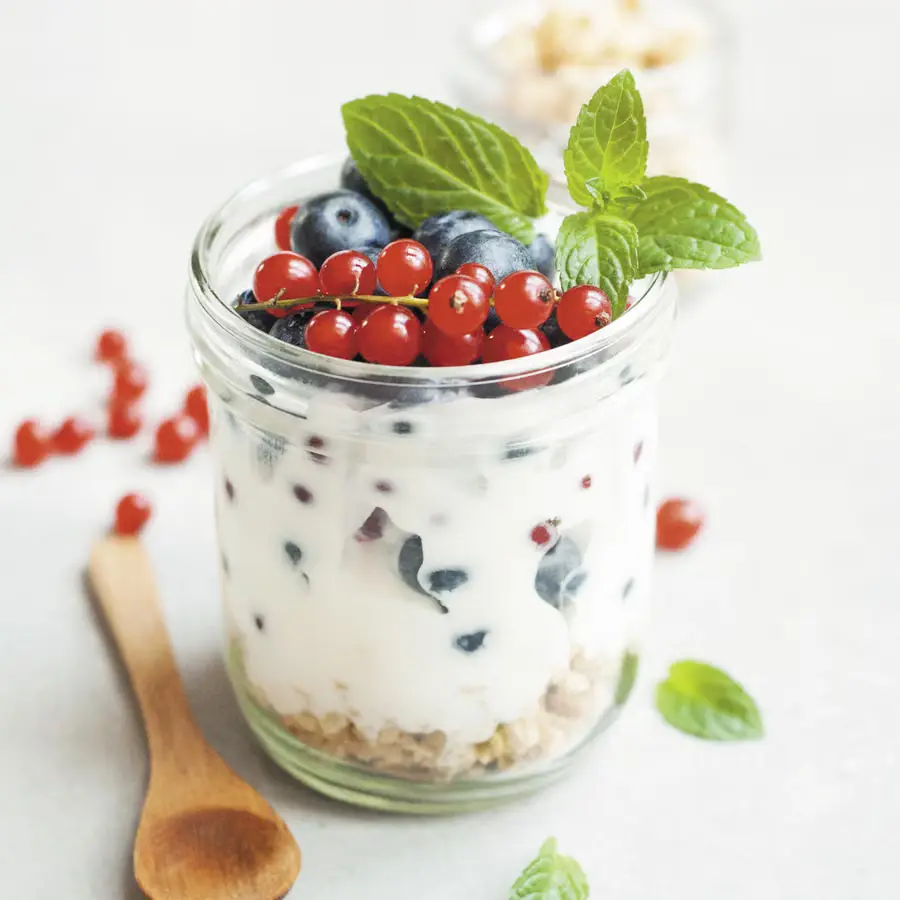 Berry yogurt